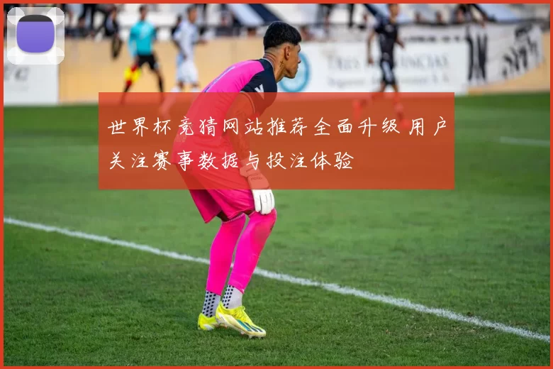 世界杯竞猜网站推荐全面升级 用户关注赛事数据与投注体验