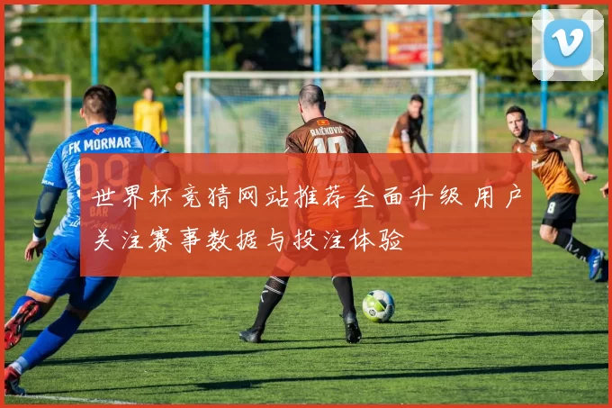 世界杯竞猜网站推荐全面升级 用户关注赛事数据与投注体验