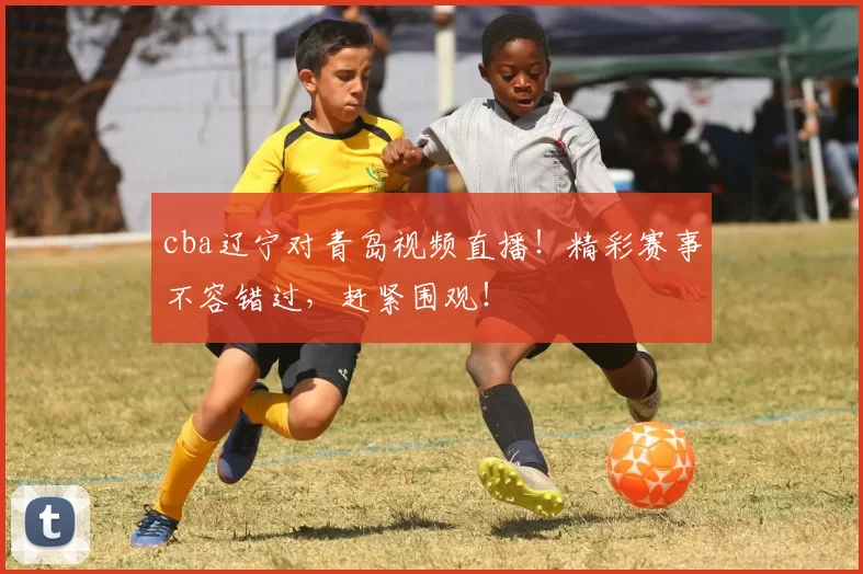 cba辽宁对青岛视频直播！精彩赛事不容错过，赶紧围观！