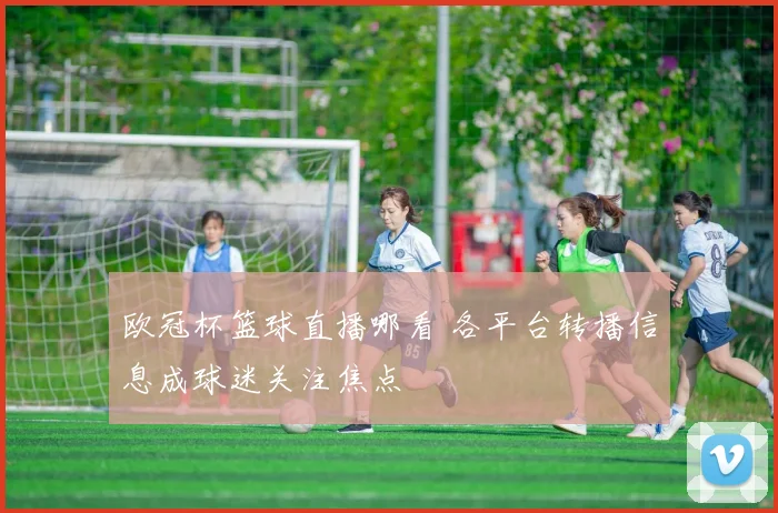 欧冠杯篮球直播哪看 各平台转播信息成球迷关注焦点